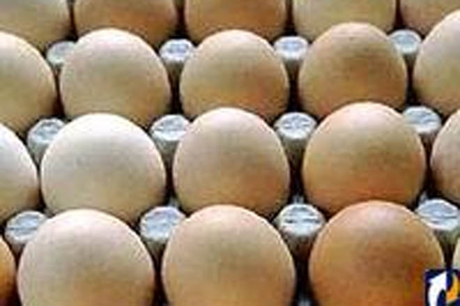 Azərbaycanda yumurtanın qiyməti 12 qəpiyə düşüb