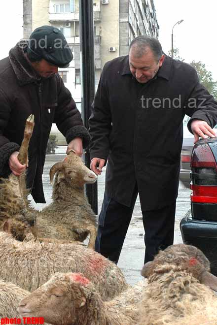 Azərbaycanda Qurban bayramı qeyd edilir