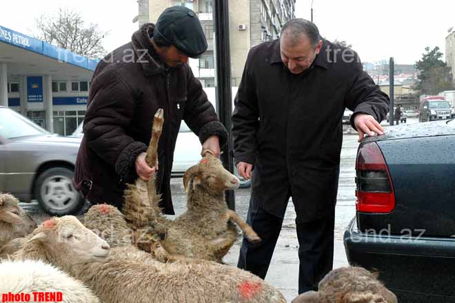 Azərbaycanda Qurban bayramı qeyd olunur
