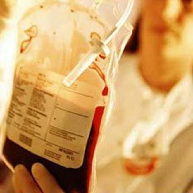 Azərbaycanda hemofiliyalı xəstələrin yarısı məktəbəqədər və məktəbyaşlı uşaqlardır