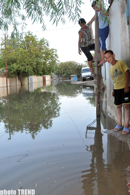 Bakıda kanalizasiya sisteminin növbəti dəfə sıradan çıxması nəticəsində evlər su altında qalıb (fotosessiya)