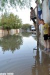 Bakıda kanalizasiya sisteminin növbəti dəfə sıradan çıxması nəticəsində evlər su altında qalıb (fotosessiya)