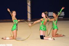 Azərbaycanı Olimpiadada təmsil edəcək gimnastların təlim-məşq toplanışı səmərəli olub – Federasiyanın Baş katibi (video)