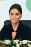 Gənclərin məşğulluq probleminin həlli Azərbaycan hökumətinin prioritet vəzifələrindən biridir - Heydər Əliyev Fondunun prezidenti (video)