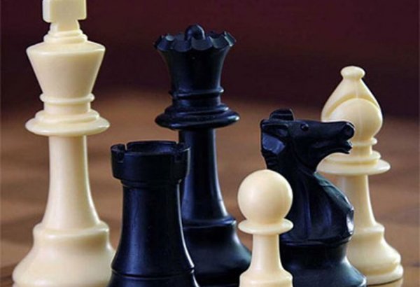 FIDE prezidenti: Şahmat Qış olimpiadasının proqramına salına bilər