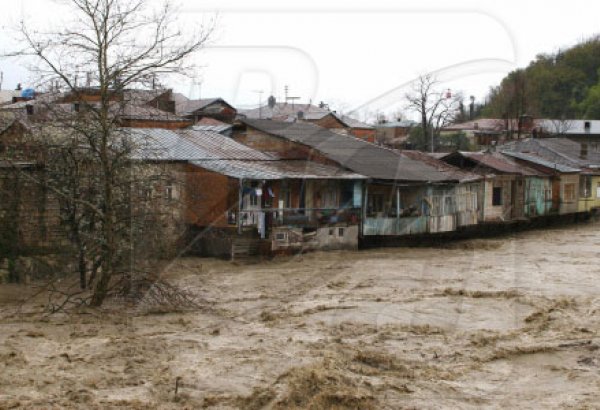 Tərtərdə güclü sel yüzlərlə heyvanı tələf edib, evlərə ciddi ziyan dəyib