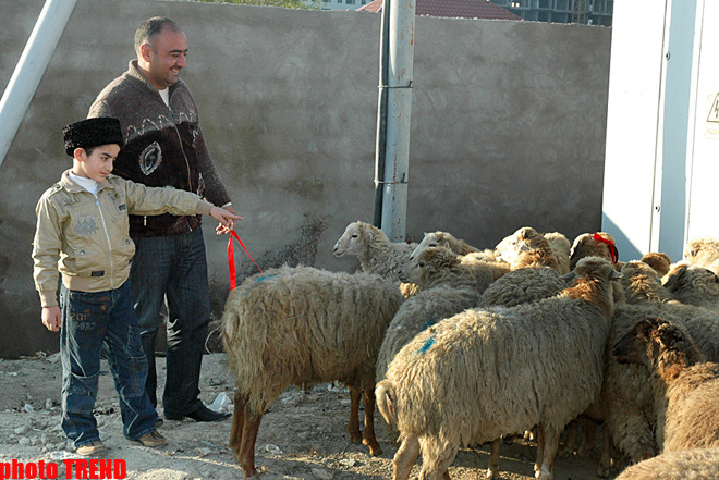Bu gün Azərbaycanda Qurban bayramı qeyd olunur (FOTO)