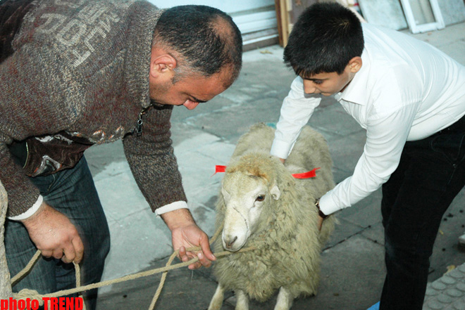 Bu gün Azərbaycanda Qurban bayramı qeyd olunur (FOTO)