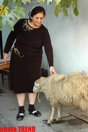 Bu gün Azərbaycanda Qurban bayramı qeyd olunur (FOTO)