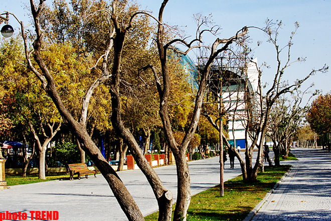 Bakının Dənizkənarı Parkında velosipedçilər üçün xüsusi zolaq yaradılacaq