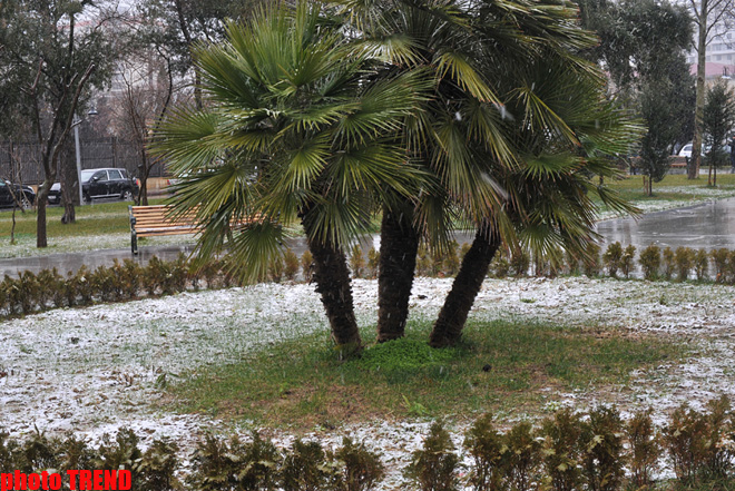 Sabah Azərbaycanın əksər rayonlarında sulu qar və qar yağması davam edəcək (FOTO)