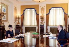 Heydər Əliyev Fondunun prezidenti Mehriban Əliyeva Türkiyə və Avstriyanın Azərbaycandakı səfirləri ilə görüşüb (FOTO)