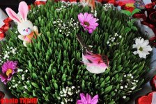 Novruz bayramı münasibətilə Bakıda ümumxalq şənliyi (FOTO)