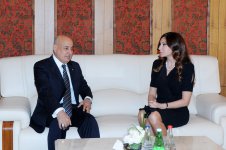 Azərbaycanın birinci xanımı Ümumdünya Mədəniyyətlərarası Dialoq Forumunda iştirak edən xarici ölkələrin və beynəlxalq təşkilatların yüksək səviyyəli nümayəndələri ilə görüşüb (ƏLAVƏ OLUNUB-3) (FOTO)