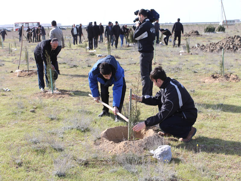 Azərbaycanda jurnalistlər üçün Ekologiya məktəbiin ilk məzunları iməcilikdə iştirak ediblər (FOTO)