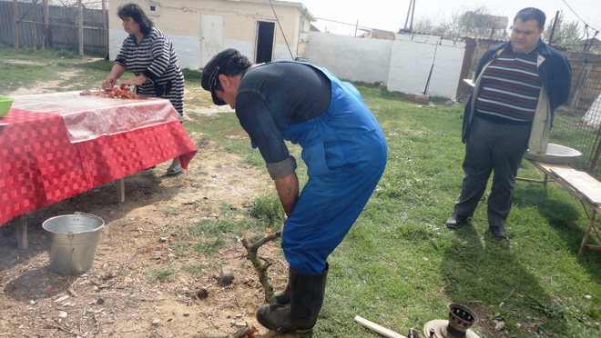 "Sehrli xalat" geyinən ulduzlar "yun didib", "toyuq-cücə yemləyib" "ağac bellədilər" (FOTO)