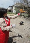 "Sehrli xalat" geyinən ulduzlar "yun didib", "toyuq-cücə yemləyib" "ağac bellədilər" (FOTO)