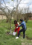 "Sehrli xalat" geyinən ulduzlar "yun didib", "toyuq-cücə yemləyib" "ağac bellədilər" (FOTO)