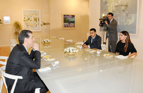 Mehriban xanım Əliyeva: "Azərbaycan dövləti Luvr Muzeyində aparılan bərpa işlərinə maddi dəstək vermişdir" (FOTO)