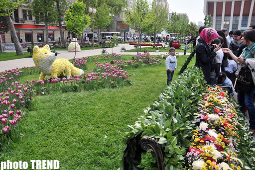 Bakıda Gül bayramı (FOTO)