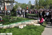 Bakıda Gül bayramı (FOTO)
