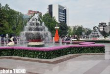 Bakıda Gül bayramı (FOTO)