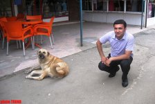Azərbaycanlı musiqiçilər Trabzonda Türkiyənin idman nazirini necə heyrətləndirdilər? (FOTO)