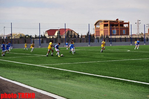 Bakıda FİFA və UEFA prezidentlərinin iştirakı ilə yeni stadionun açılışı olub (FOTO)