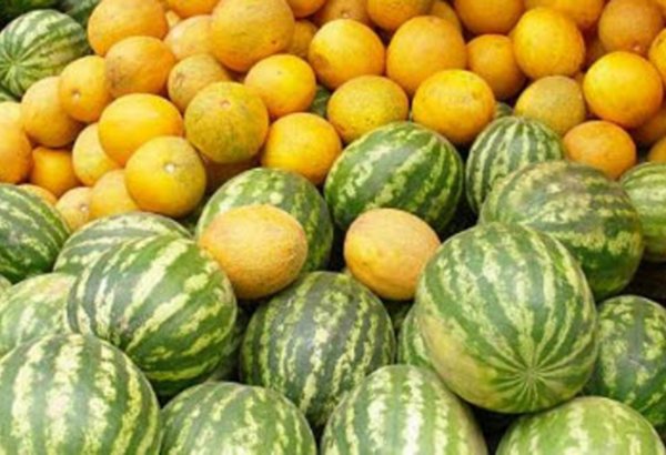 Qarpız-yemiş niyə bahalaşıb? - Ekspert əsl səbəbləri açıqladı