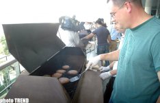 Aygün Kazımova ən yaxşı Hamburger bişirənləri seçdi (FOTO)