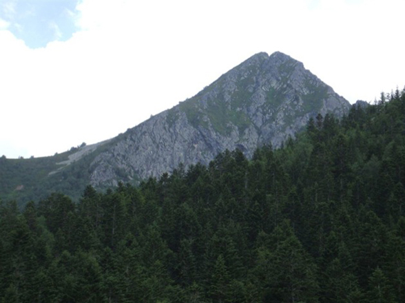 Lənkəranda 4 nəfər dərəyə yıxılıb: 1 nəfər ölüb, 3 nəfər xəsarət alıb
