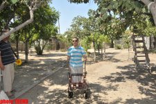 Samuray papağı, meyvəli bağ və ya müğənni Murad Sadıxın rəngarəng yay istirahəti (FOTO)