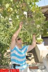 Samuray papağı, meyvəli bağ və ya müğənni Murad Sadıxın rəngarəng yay istirahəti (FOTO)