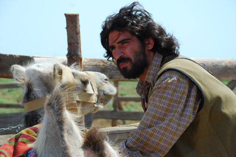 "Çölçü"nün təqdimatı keçirilib  (FOTO)