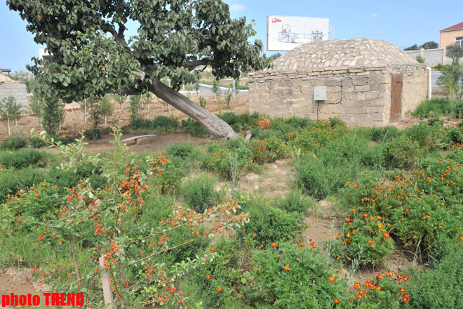 Azərbaycanın qədim və tarixi hamamları (FOTO)