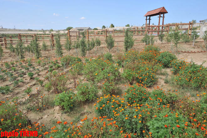 Azərbaycanın qədim və tarixi hamamları (FOTO)