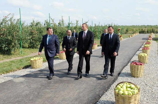 İlham Əliyev Qubada meyvələrin çeşidlənməsi və saxlanması üçün soyuducu anbar kompleksi ilə tanış olub (FOTO)