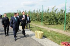 İlham Əliyev Qubada meyvələrin çeşidlənməsi və saxlanması üçün soyuducu anbar kompleksi ilə tanış olub (FOTO)