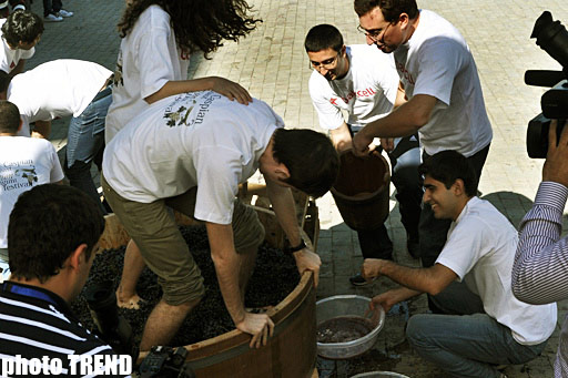 İçərişəhərdə üzüm yığımı festivalı (fotosessiya)