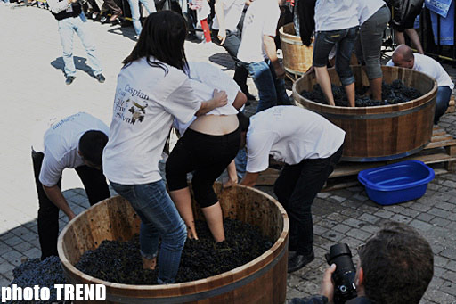 İçərişəhərdə üzüm yığımı festivalı (fotosessiya)