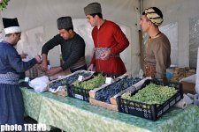 İçərişəhərdə üzüm yığımı festivalı (fotosessiya)