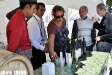 İçərişəhərdə üzüm yığımı festivalı (fotosessiya)