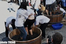 İçərişəhərdə üzüm yığımı festivalı (fotosessiya)