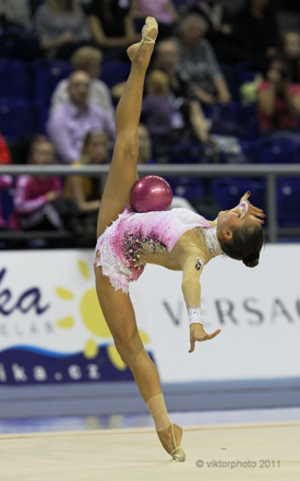 Azərbaycanlı gimnast beş bürünc medal qazanıb (FOTO)