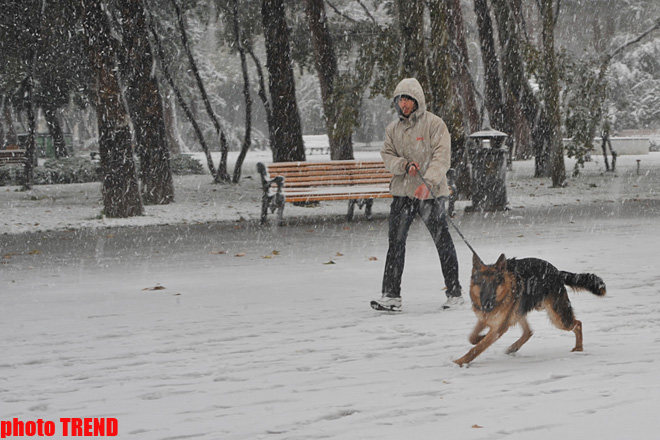 Bakıda ilk qar yağır (ƏLAVƏ OLUNUB) (FOTO)