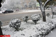 Bakıda ilk qar yağır (ƏLAVƏ OLUNUB) (FOTO)
