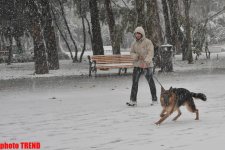Bakıda ilk qar yağır (ƏLAVƏ OLUNUB) (FOTO)
