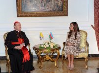 Mehriban Əliyeva: Azərbaycan bu gün dünya xəritəsində öz yerini təsdiqləyib və sürətlə inkişaf edən bir dövlətdir (FOTO)