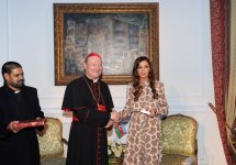 Mehriban Əliyeva: Azərbaycan bu gün dünya xəritəsində öz yerini təsdiqləyib və sürətlə inkişaf edən bir dövlətdir (FOTO)