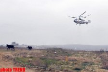 Bakıda təyyarənin qəzaya uğramasının ilkin səbəbi açıqlanıb (ƏLAVƏ OLUNUB 4) (FOTO)